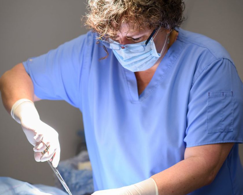 Helping People Help Their Pets – Homestead Veterinary Clinic Wins 2025 Small Business of the Year